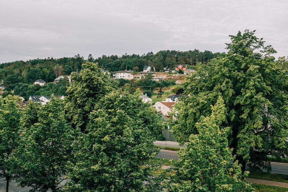 Atmospheric stage background with set pieces